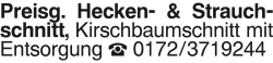 Vorschaubild der Anzeige, (Id: 1958673)