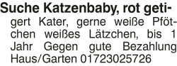 Vorschaubild der Anzeige, (Id: 1960433)
