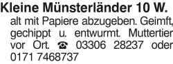 Vorschaubild der Anzeige, (Id: 1960540)