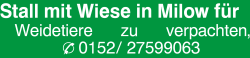 Vorschaubild der Anzeige, (Id: 1960584)