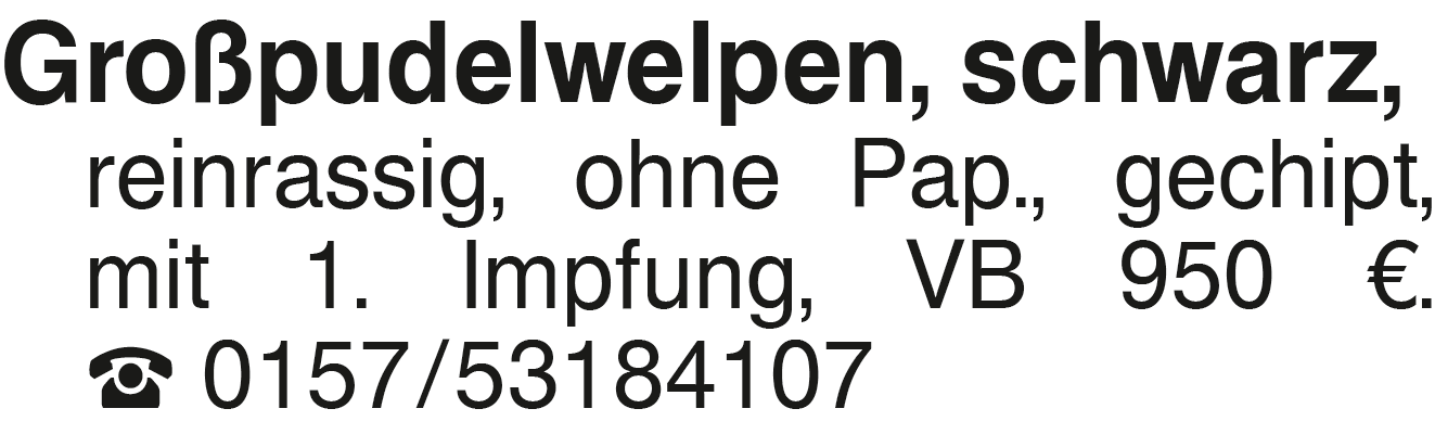 Vorschaubild der Anzeige, (Id: 1960623)