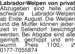 Vorschaubild der Anzeige, (Id: 1965915)