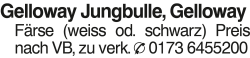 Vorschaubild der Anzeige, (Id: 1967466)