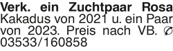 Vorschaubild der Anzeige, (Id: 1967624)