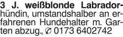 Vorschaubild der Anzeige, (Id: 1969264)