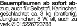 Vorschaubild der Anzeige, (Id: 1970865)