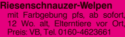 Vorschaubild der Anzeige, (Id: 1970821)