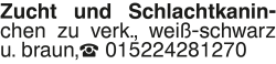 Vorschaubild der Anzeige, (Id: 1985990)
