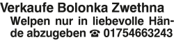 Vorschaubild der Anzeige, (Id: 2035536)