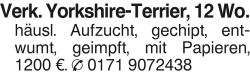 Vorschaubild der Anzeige, (Id: 2037235)