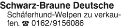 Vorschaubild der Anzeige, (Id: 2037236)