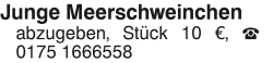 Vorschaubild der Anzeige, (Id: 2037249)