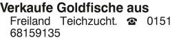 Vorschaubild der Anzeige, (Id: 2049937)