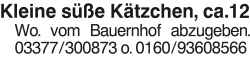 Vorschaubild der Anzeige, (Id: 2049986)