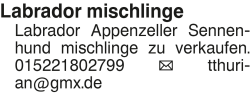 Vorschaubild der Anzeige, (Id: 2085709)