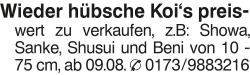 Vorschaubild der Anzeige, (Id: 1967415)