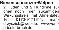 Vorschaubild der Anzeige, (Id: 1997872)