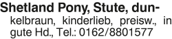 Vorschaubild der Anzeige, (Id: 2083878)