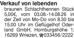 Vorschaubild der Anzeige, (Id: 2061011)