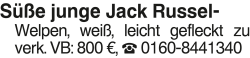 Vorschaubild der Anzeige, (Id: 2065958)