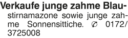 Vorschaubild der Anzeige, (Id: 2073430)