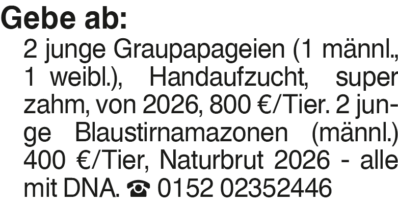 Vorschaubild der Anzeige, (Id: 2080395)